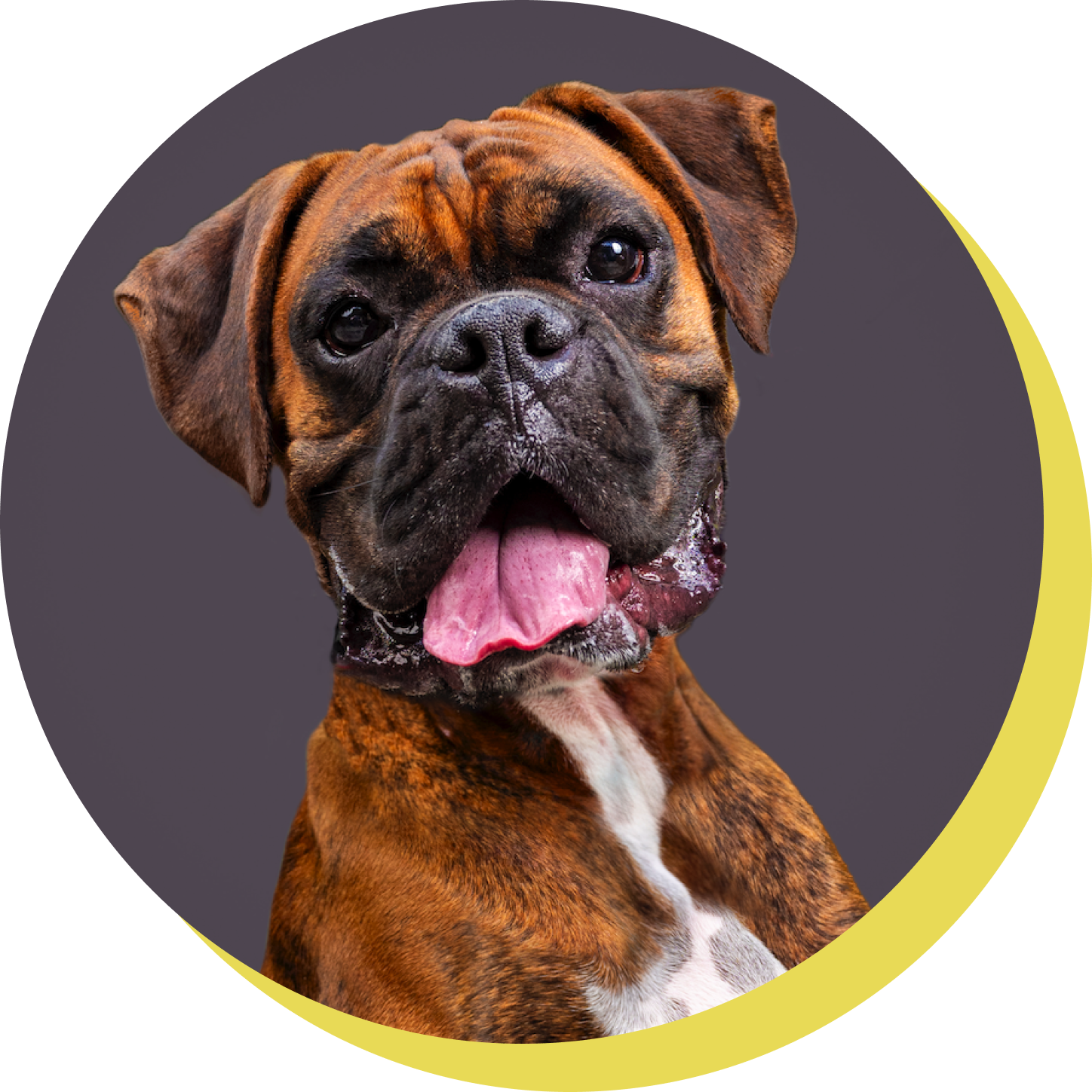 Bogey's Portrait