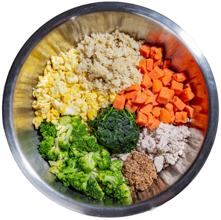 bowl of dog food