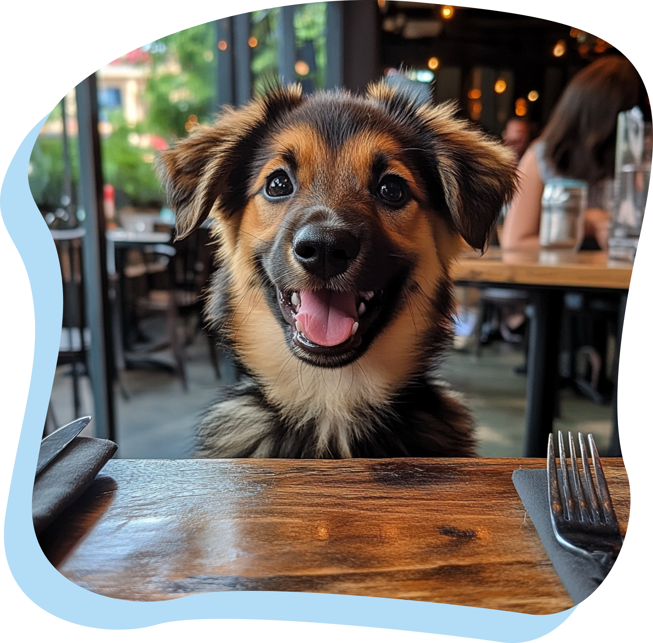 Puppy at a restaurant