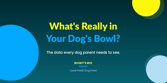 What's Really in Your Dog's Bowl? — Bogey's Mix