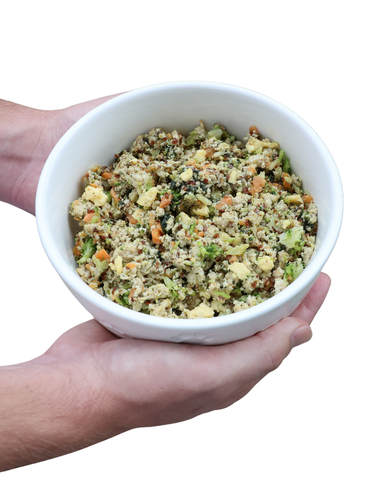 A bowl of fresh Bogey's Mix held in two hands — turkey, broccoli, carrot and egg visible